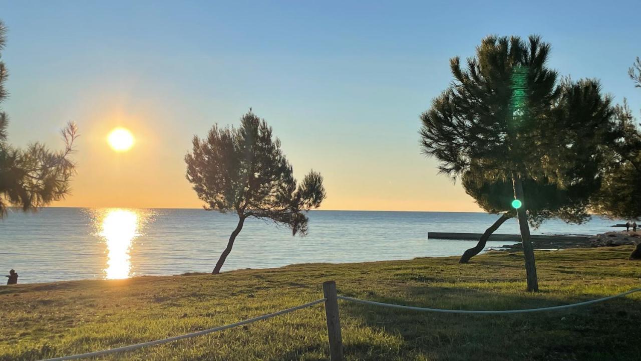 Iva Apartments Novigrad Istria Dış mekan fotoğraf