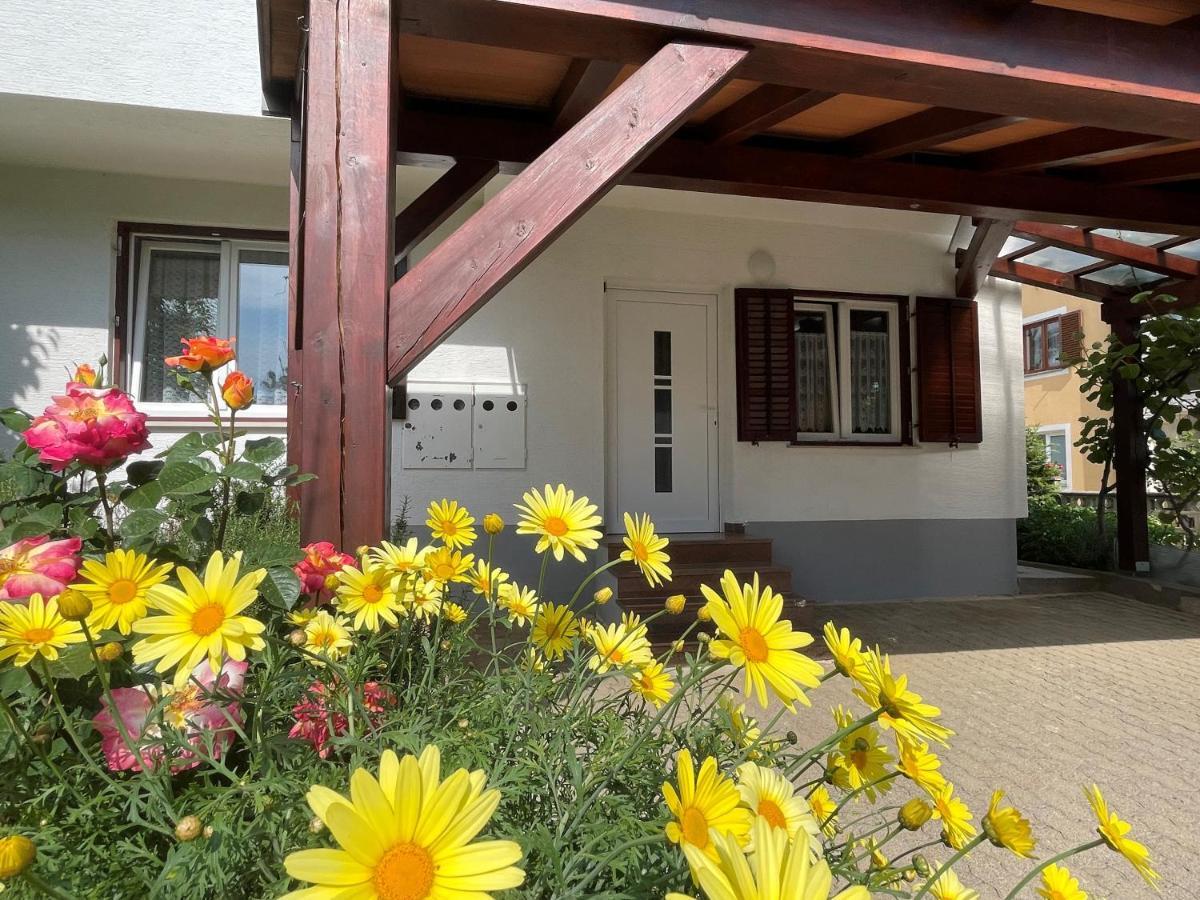 Iva Apartments Novigrad Istria Dış mekan fotoğraf